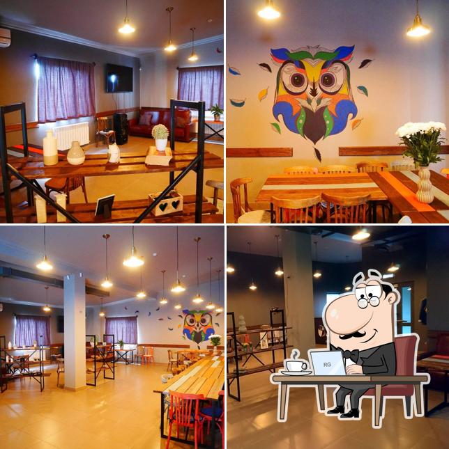 Клуб Напрокат SOVA