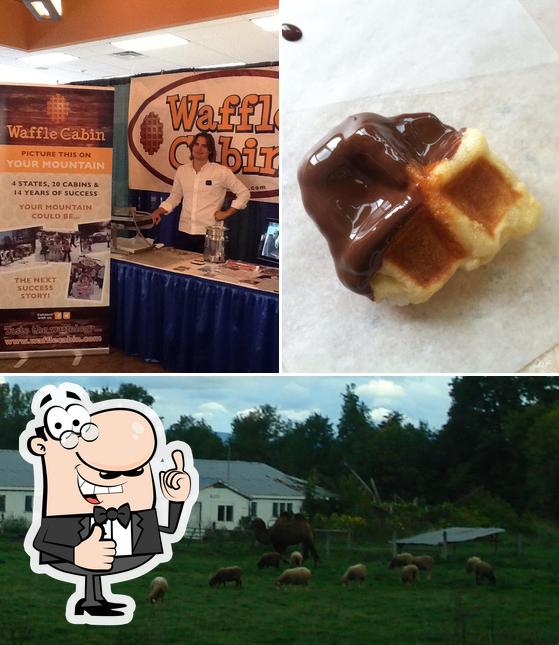 Waffle Cabin