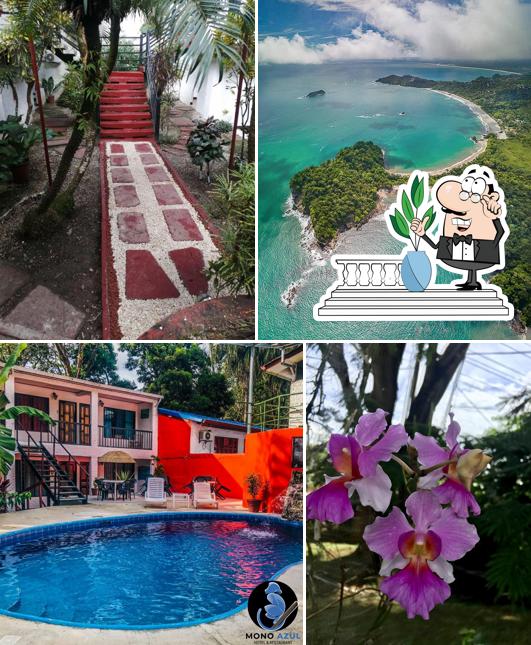 Hotel Mono Azul