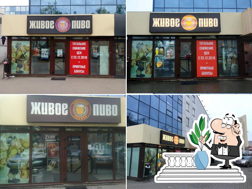 Пивная кружка