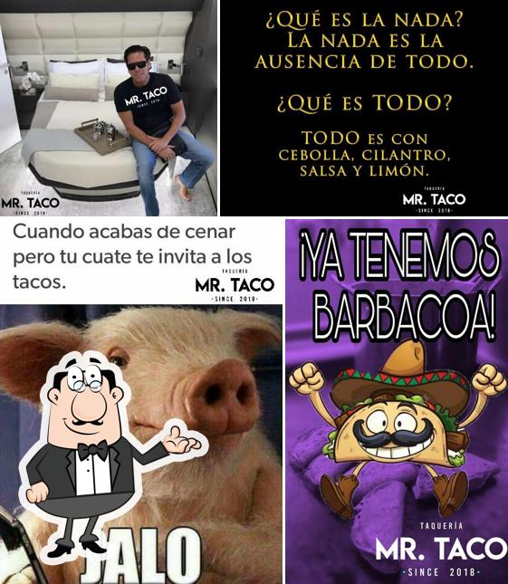 Mr.Taco Since 2018