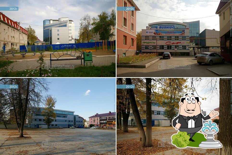 Сакура