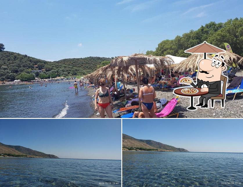 Καντίνα Η χαραμίδα