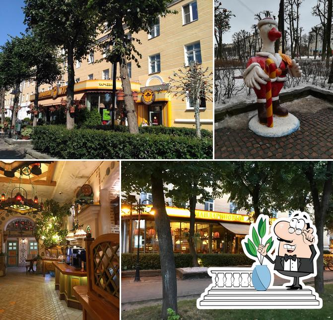 Мандариновый Гусь