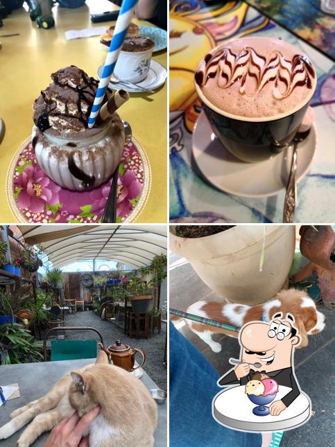 1/2 Acre Coffee Lounge Cafe