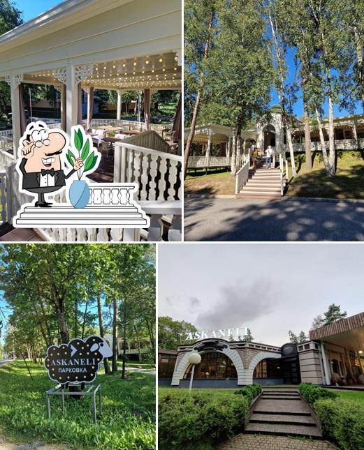 Асканели
