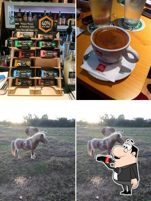 Route Espresso Bar