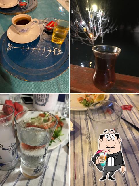 Mercan Balıkevi