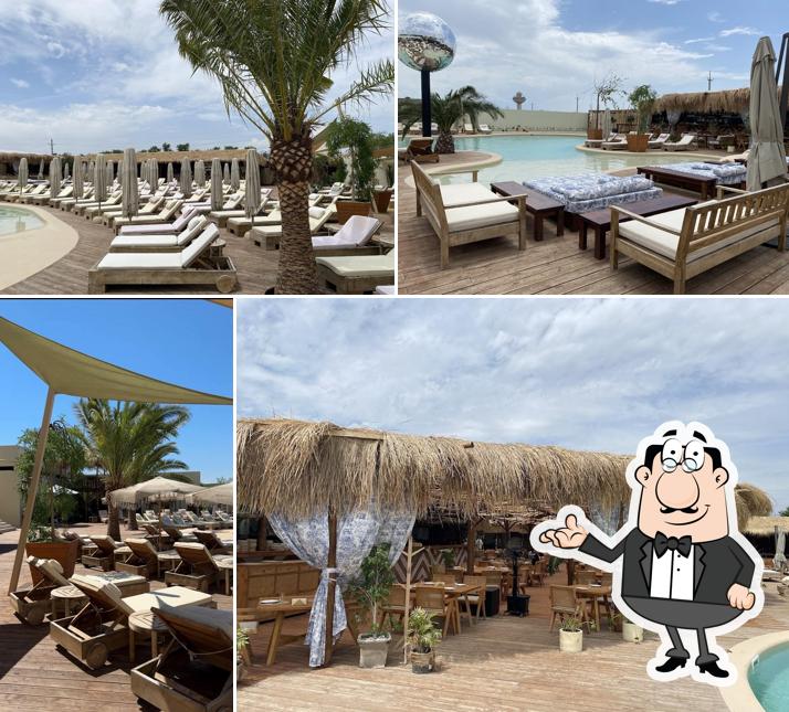 Джелифиш Beach Club