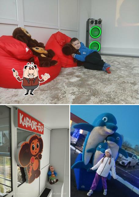 ФОК Дельфин