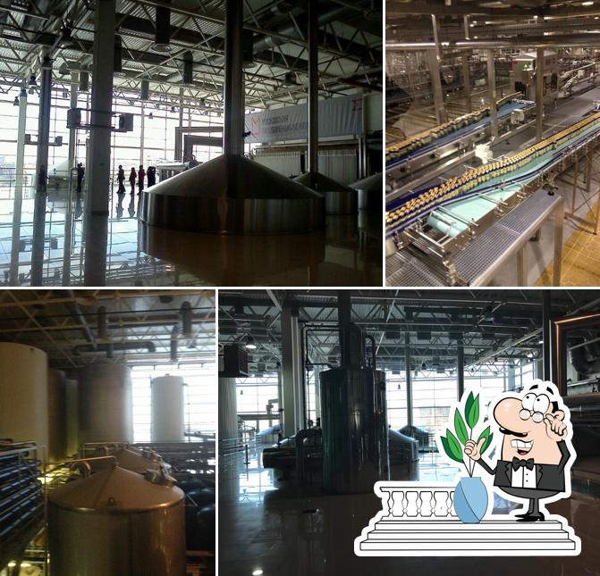 Moscow Brewing Company