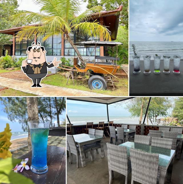 New Mangrove Ocean