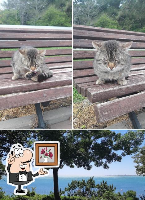 У Гарика