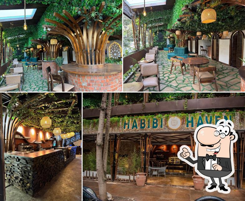 Habibi Haven