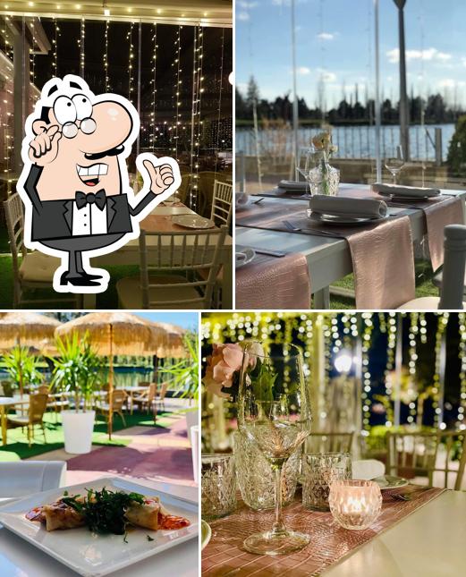 Lake Suite