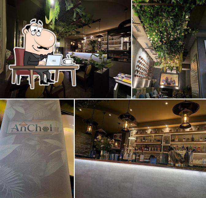 AnChoi