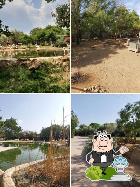Zoo Café Restaurant
