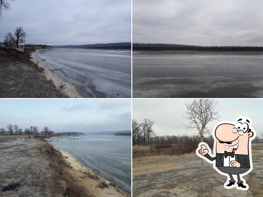 Чайка