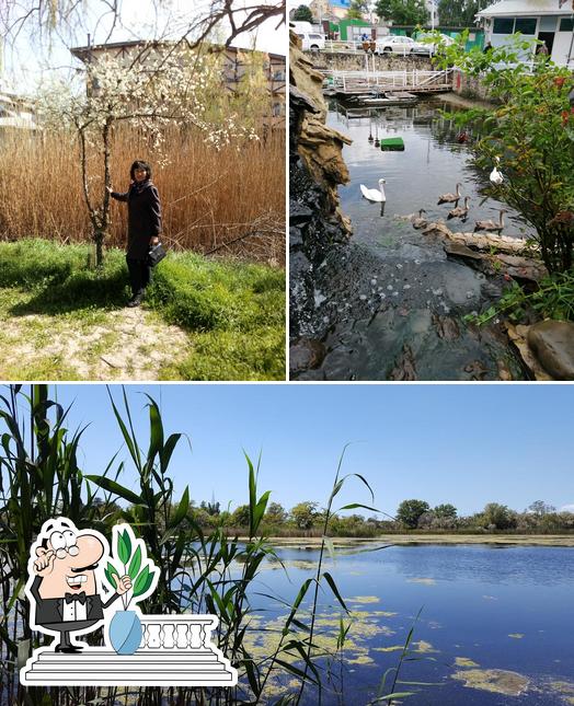 Посмотрите, как "Катамаран" выглядит снаружи