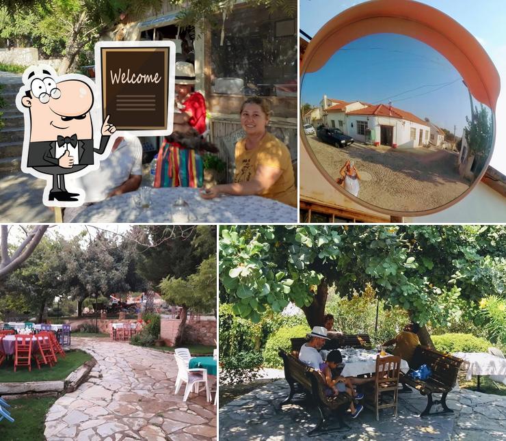 Reşadiye Rüzgar Kafe