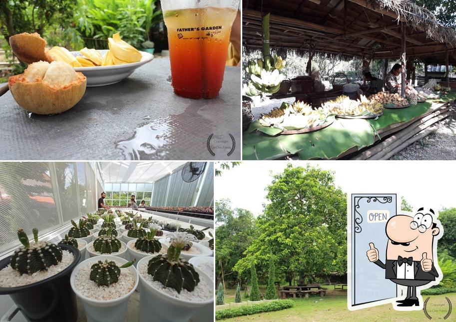 สวนของ"พ่อ" บางมะฝ่อ & S T U D I O