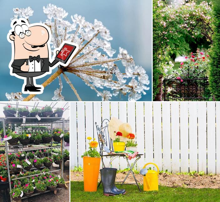 Houghton Hall Garden Centre