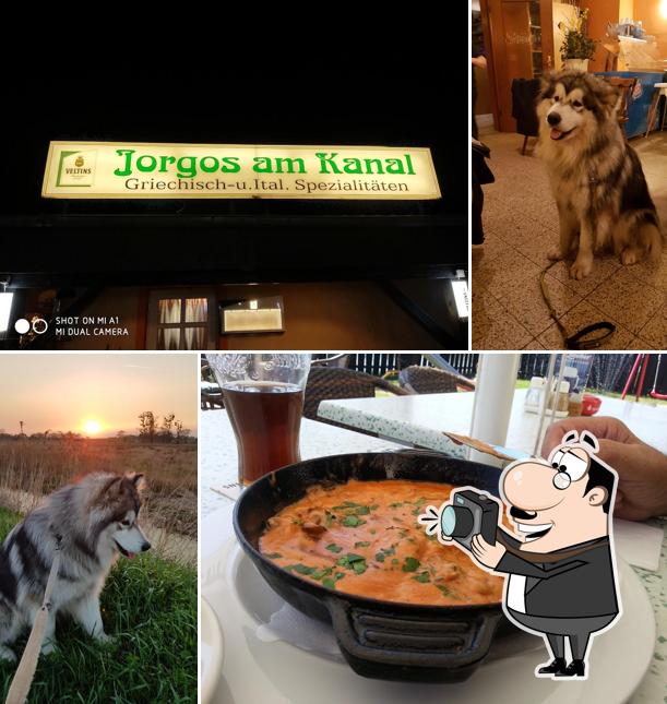 Jorgos