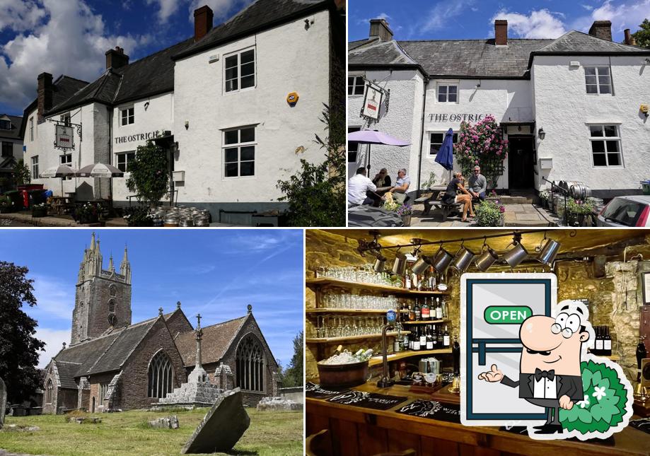 The Ostrich Inn