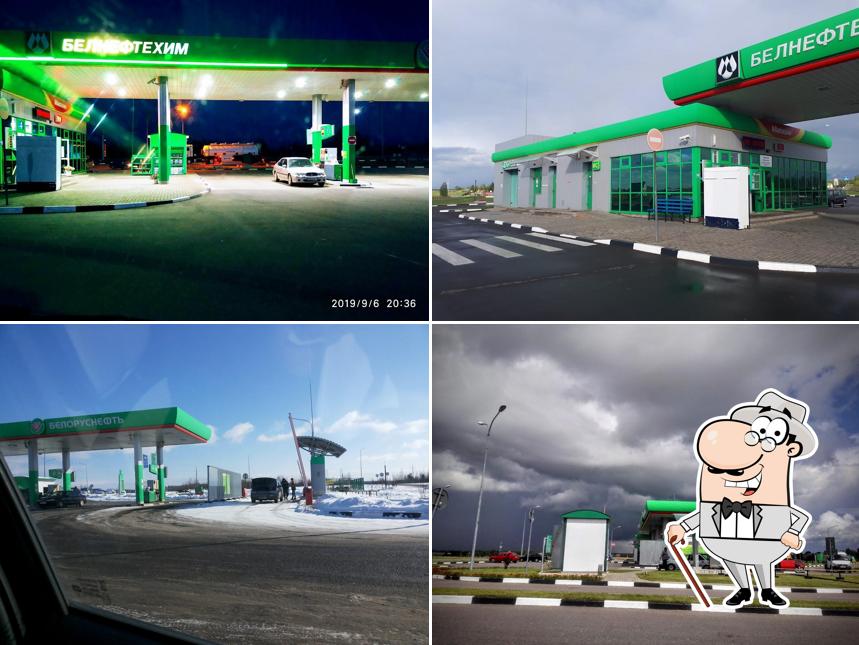 Белоруснефть