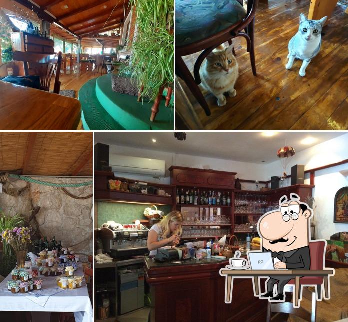 Restoran Roko