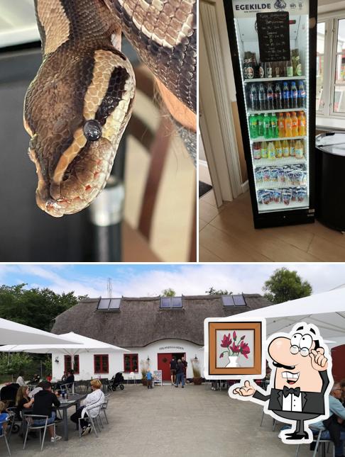 Frilandsgaarden
