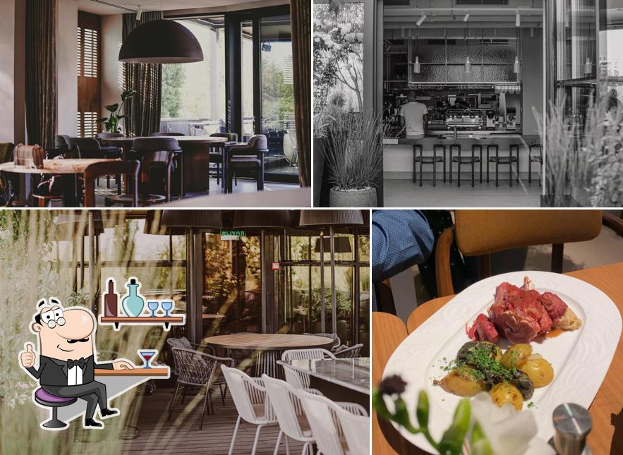 Интерьер "Ива"