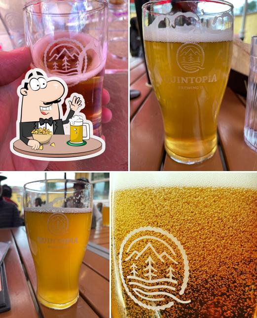 Quintopia Brewing Co