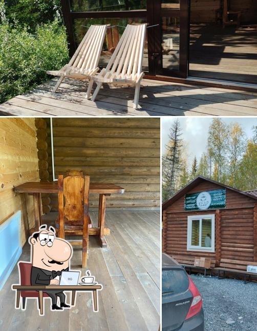 Кедр