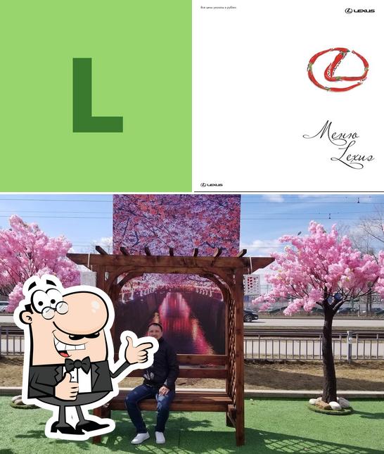 Кафе Lexus