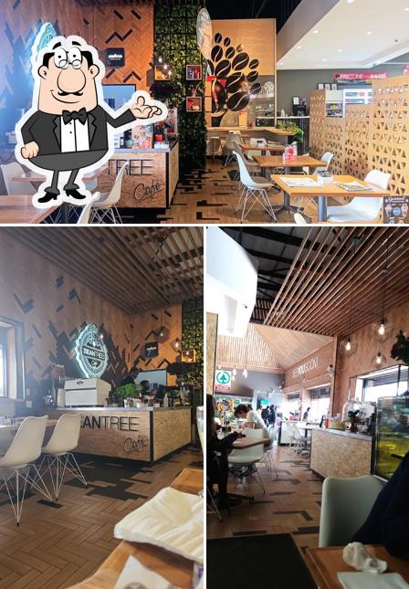 Bean tree cafe