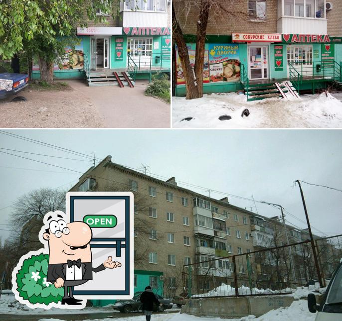 Сокурские хлеба