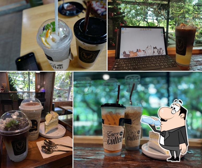 ภูวัวคอฟฟี่ บึงกาฬ