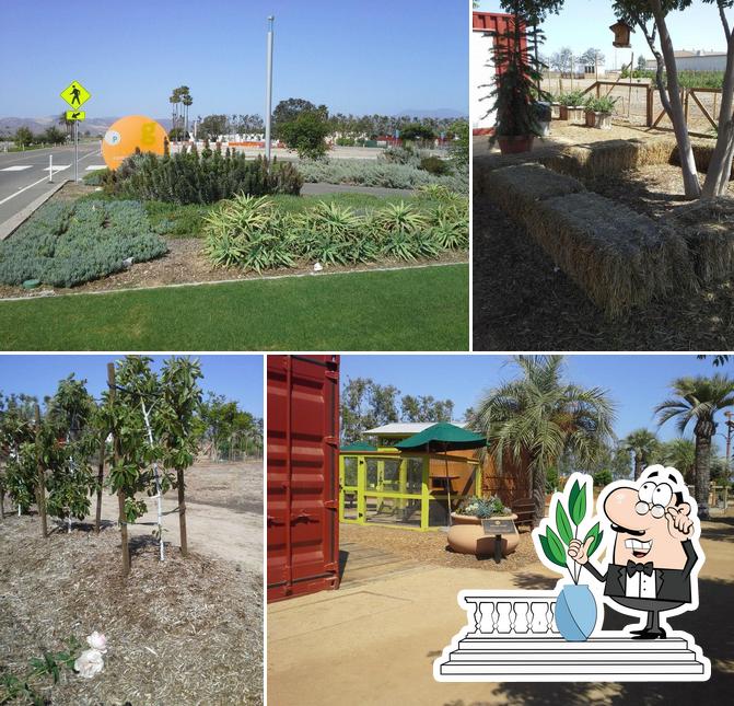 Foothill Garden