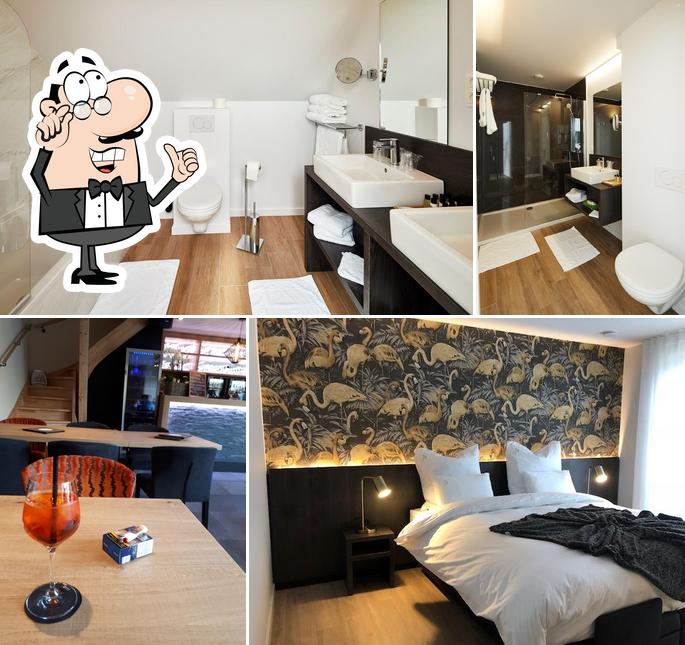 B&B Sasput