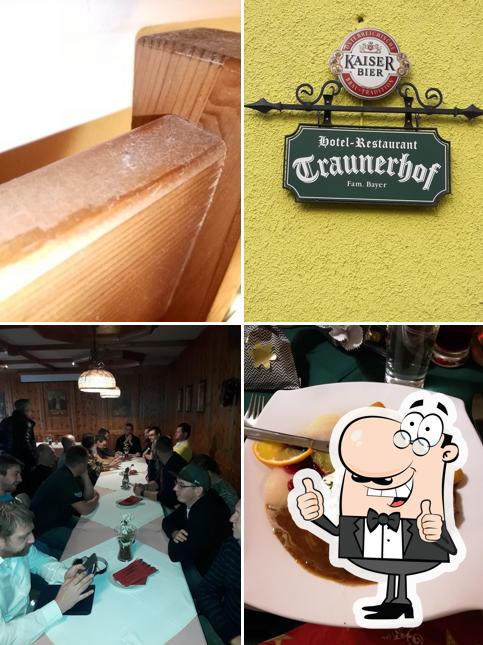 Traunerhof