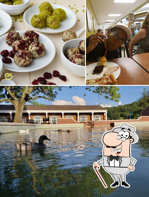 Van Dyke Center Dining Hall