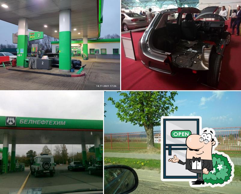 Белоруснефть