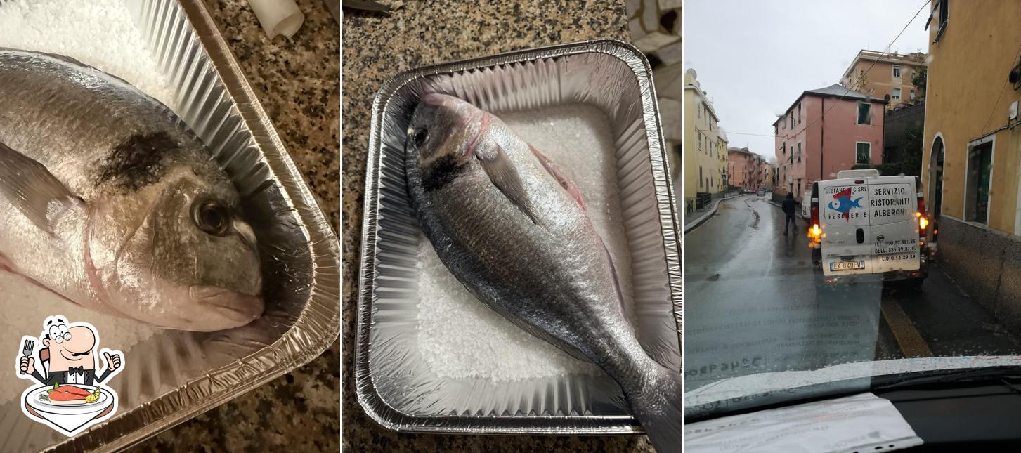 Pescheria Stefano & C. Srl