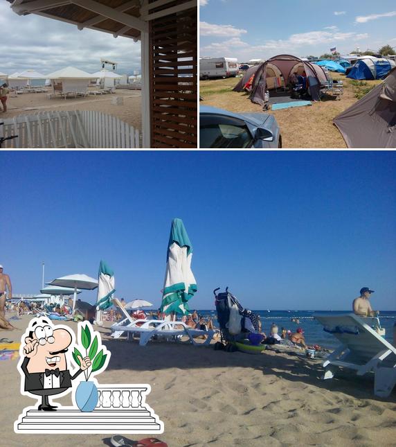 Summercafe