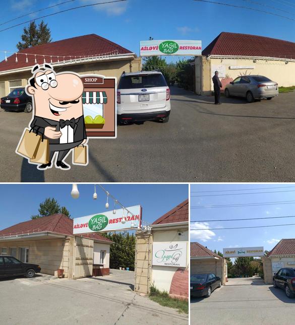 Yaşıl Bağ / Fatmayı
