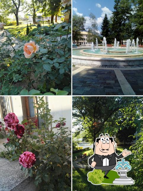 Кафе Рая