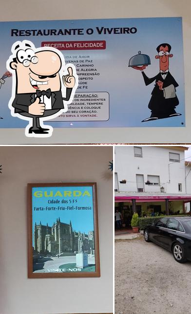 O Viveiro
