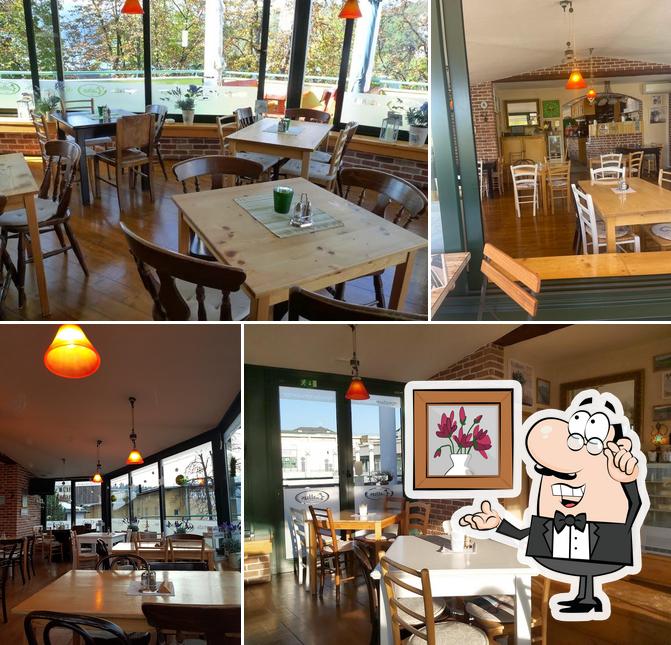 Pizzeria Gallus