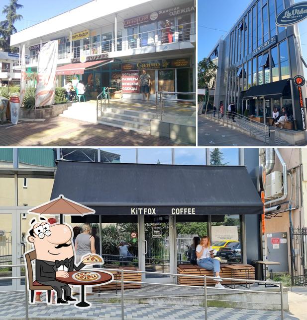 Kit Fox Coffee